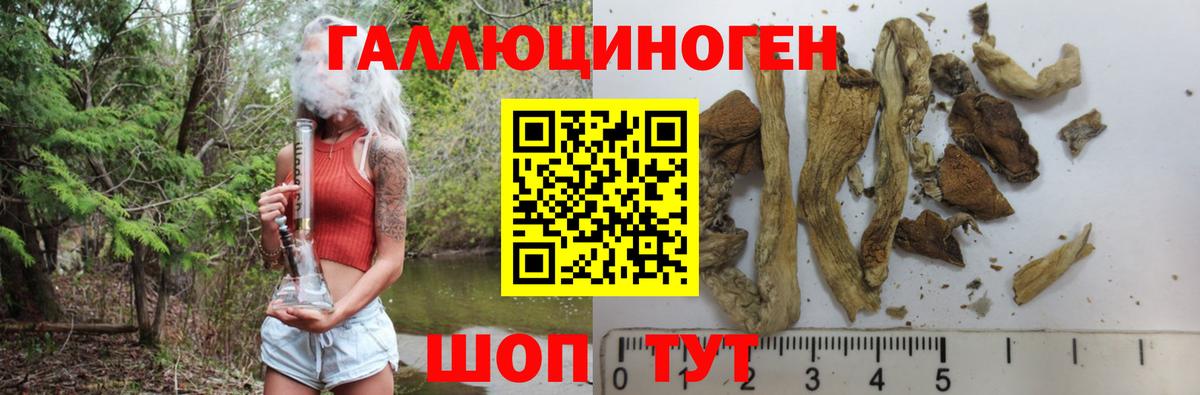 Псилоцибиновые грибы Psilocybe  наркошоп  Коряжма  Вход с VPN  Галлюциногенные грибы Psilocybine cubensis 